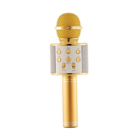 wireless karaoke microphone with speaker 10