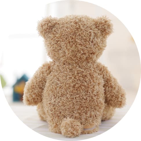 Peek-a-Boo Bear Toy 9