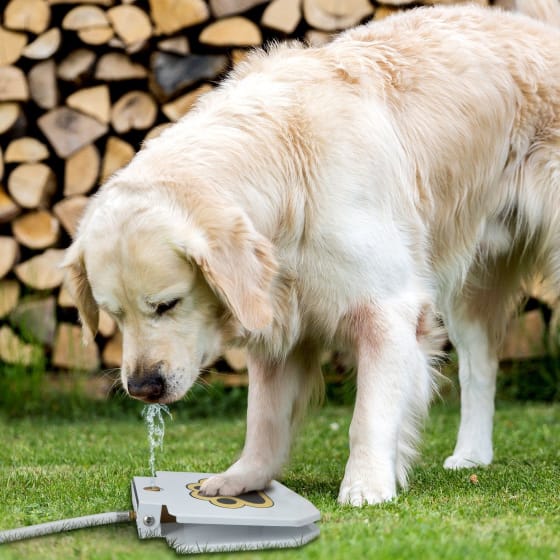 automatic outdoor dog water fountain 11
