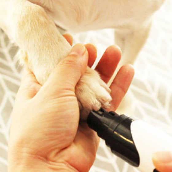 Rechargeable Professional Dog Nail Grinder 11