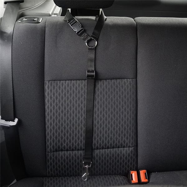dog car seatbelt set (2pcs) 2