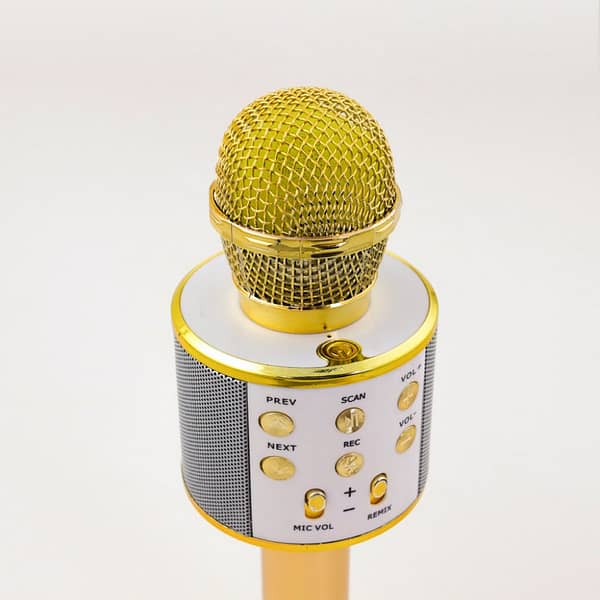 wireless karaoke microphone with speaker 4