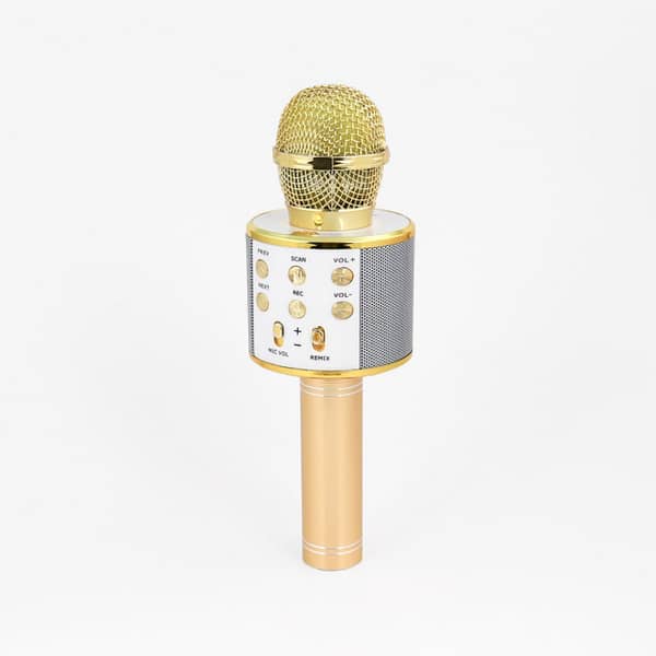 wireless karaoke microphone with speaker 1