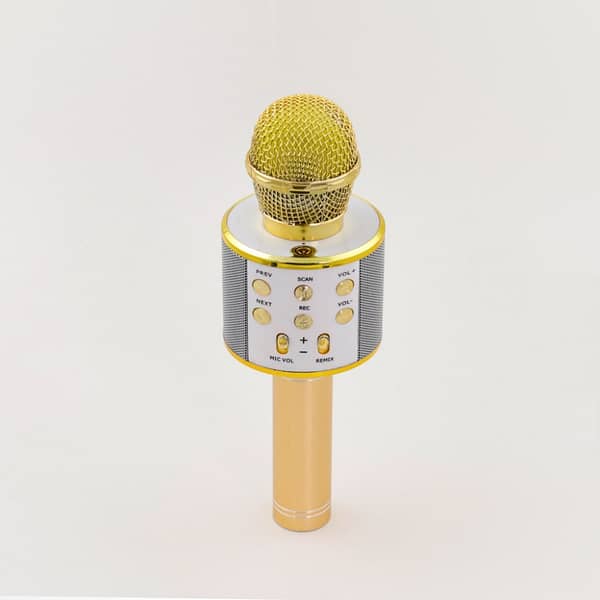 wireless karaoke microphone with speaker 2