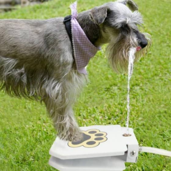 Automatic Outdoor Dog Water Fountain 32